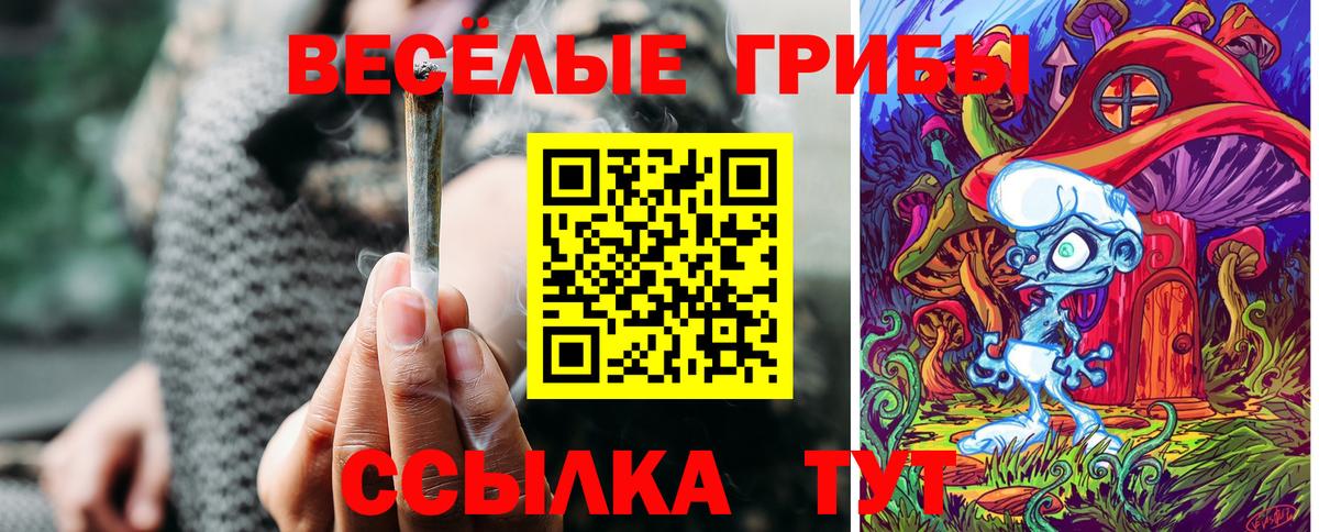 Галлюциногенные грибы прущие грибы  Вход с VPN  Алушта 